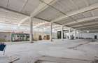 Spațiu industrial 4.4Ha Teren și 15.000mpc - Zona Industrială - Hârlău - 8