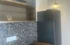 Apartament 2 camere Aleea Biruintei ( Rahovei ) - 2