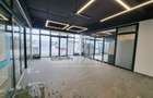 Spatiu Comercial in Centru Comercial - Zona Traian Vuia - Parcare - 9