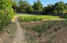 Teren Intravilan în Bâlteni – Oază de liniște și natură, aproape de centru - 3