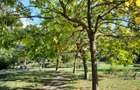 Nordului Parc Herastrau, inchiriere 2 camere 78m, pet friendly, terasa, parcare - 16