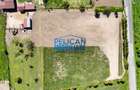 Teren intravilan SOMOVA, zonă deosebită, 5548MP - 11