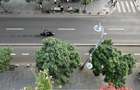 Calea Victoriei 128B, 2 camere - 5