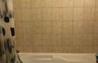 Planorama,Colentina,ap.2 camere, et.5,60mp,mobilat modern,loc parcare 650euro - 13