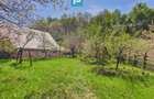 Casă Câmpani, 8000 mp teren, la poalele Apusenilor - 19