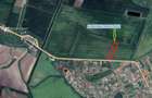 122 ari in Turnu, front 60 m la DN 7B, 15 km de Arad, 1 km de vama - 1