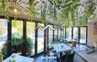 Restaurant de vânzare Otopeni ultracentral | afacere profitabilă - 12