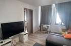 Apartament 2 camere Calea Calarasilor cu gradina - 16