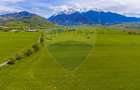 Teren 3000mp de vânzare în Râșnov / Pănicel - 4