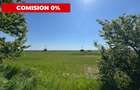 Teren agricol 12.500 mp | Deschidere directă DN61 | Dublu acces | Corbii Mari - 5