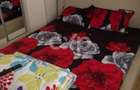 Inchiriere apartament 2 camere Ultracentral - 6