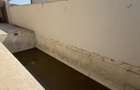 Vila | P+1 | Mogosoaia | Garaj | Statie incarcare 25W | Piscina | Beci  - 18