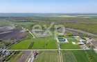 Black Angus Farm with authorized Slaughterhouse - 5