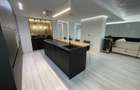 Penthouse with rooftop in Herastrau | Satul Francez - 10