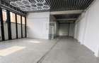 Showroom / hala depozitare str. Plevnei - 1