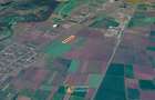 teren agricol de vanzare Vladimirescu, Arad - 3