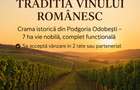 CRAMĂ FUNCȚIONALĂ DE VÂNZARE   ÎN INIMA PODGORIEI ODOBEȘTI (VRANCEA) - 1