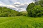 Teren plat cu front mare la DN73A Rasnov- Predeal - 2