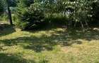 Casă cu teren de 5.700 mp, Pădureni,se accepta si schimb cu apt in Iasi - 4