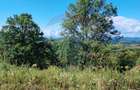 Teren 3,871mp Varmaga / None - 3
