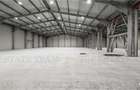 Hala Industriala Balotesti - Spatiu Generos si Accesibilitate Excelenta - 4
