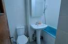 Oferta inchiriere apartament 3 camere Lacul Tei Parcul Circului - 16