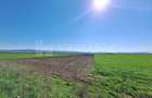 Teren extravilan, 8700 mp, pretabil agricultură sau investiție - Bod - 5