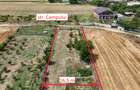 CIOLPANI, LOT 5.000 MP, HALE INDUSTRIALE! - 3