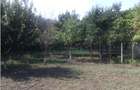 Casă + teren 2188 mp aproape de Lacul Gălățui, Alexandru Odobescu, Călărași - 4