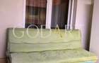 Apartament doua camere | Parcare subterana | Herastrau - 10