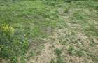 Apartament 3 camere, 51 mp, gradina ~200mp, zona primarie Apahida - 5