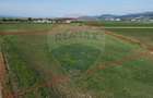 Teren 39,500mp Vintu de Jos - 7