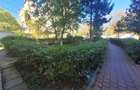 Apartament 2 camere De Inchiriat Ultracentral Cu loc Parcare - 17