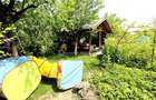 CASA 5 CAMERE 145 MP TEREN 660 MP DAMBUL ROTUND - 25