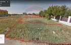 Vanzare teren Snagov - Izvorani, Strada Gradinarilor - 3