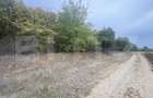 Teren partial intravilan 15000 mp, deschidere 136 m, zona Padure Cosoveni - 1