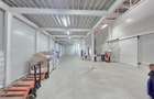 Vanzare depozit/hala/spatiu industrial Otopeni - Centura, Ilfov - 28