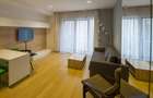 Floreasca One, apartament 2 camere lux - 1