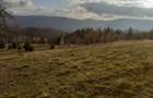Vind casă și teren în satul Costești, comuna Albac județul Alba   - 7