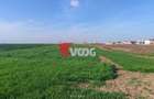Teren de vânzare – 10.000 mp – ideal pentru parcelare și construcții - 3