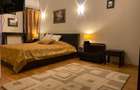 Vila 8 camere | padurea Baneasa | teren 383 mp - 7