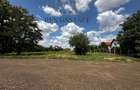 Dumbravita Teren Intravilan 1466mp Front 29m | Langa Padure - 1