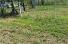 Vanzare teren localitatea Magurele - 1