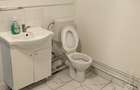 Spațiu comercial 60 mp ultracentral bulevardul Republicii 85 - 5