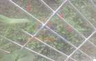 Vanzare apartament 2 camere confort 2 Brancoveanu - 14