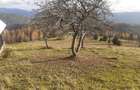 Vind casă și teren în satul Costești, comuna Albac județul Alba   - 6