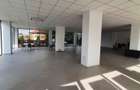 Spatiu comercial, 330 mp, open space, Corneliu Coposu - 1