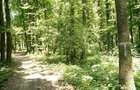 Oportunitate investitie exceptionala ! Pipera 352.400 mp. partial in intravilan - 3
