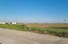 Teren 10.000 mp Clinceni | Parcelat 5 loturi + drum privat 9 ml - 3