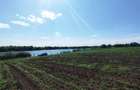 MEGA OCAZIE SE VINDE TEREN 10.600 DE METRI LA PRET DE 6.600 CU DESCHIDRE LA LAC - 5